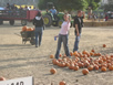 10 16 04 Pumpkin Patching