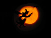 10 29 04 Pumpkin Carving