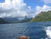 More of Moorea 