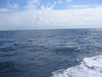 Back on the dive boat - ocean spreads out as far as the eye can see 