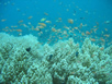 Philippines