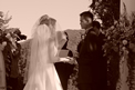 Wedding Day