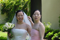 Weddings